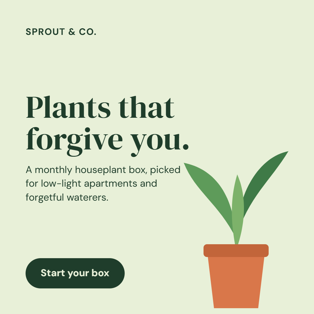 Sprout Co 1 1 feed 2x