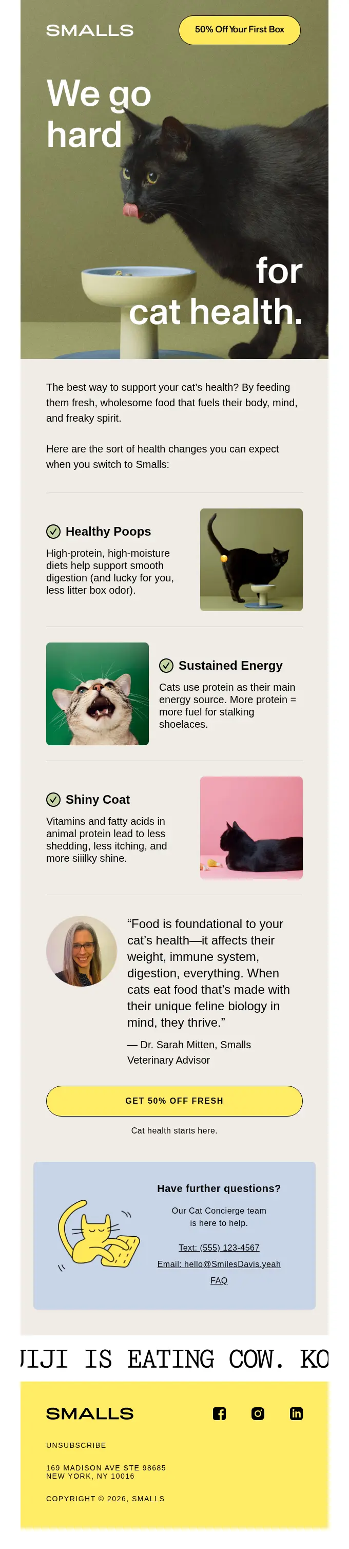 smalls cat health fresh food